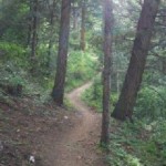 A favorite route - Apex Trail